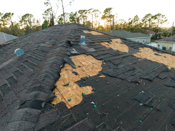 Professional Roofing Service in Forest Hills, MI