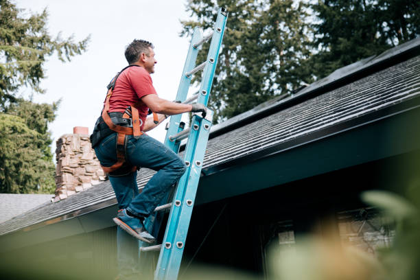 Steel Roofing in Forest Hills, MI