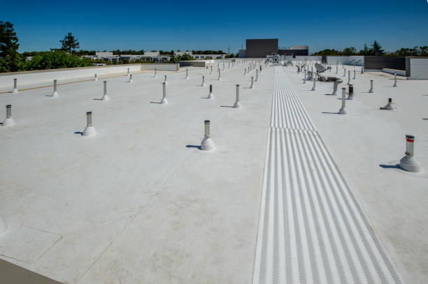 Best Emergency Roof Repair Services  in Forest Hills, MI